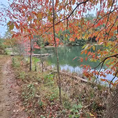 Rose Lake Trail - Benton Township, OH