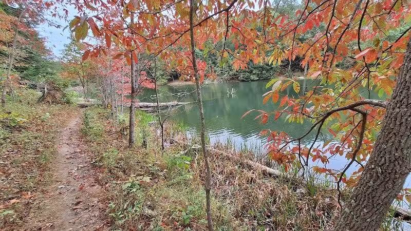 Rose Lake Trail - Benton Township, OH