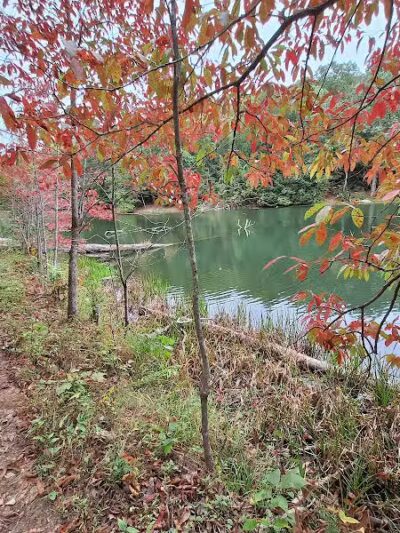 Rose Lake Trail - Benton Township, OH