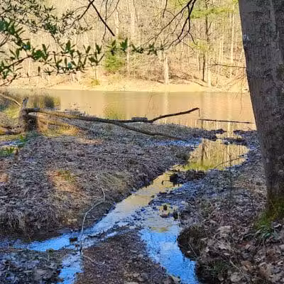 Rose Lake Trail - Benton Township, OH