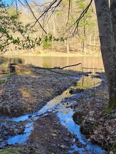 Rose Lake Trail - Benton Township, OH