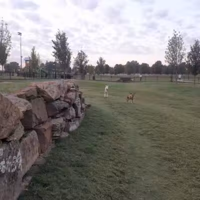 Bentonville Dog Park - Bentonville, AR