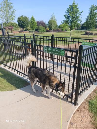 Bentonville Dog Park - Bentonville, AR
