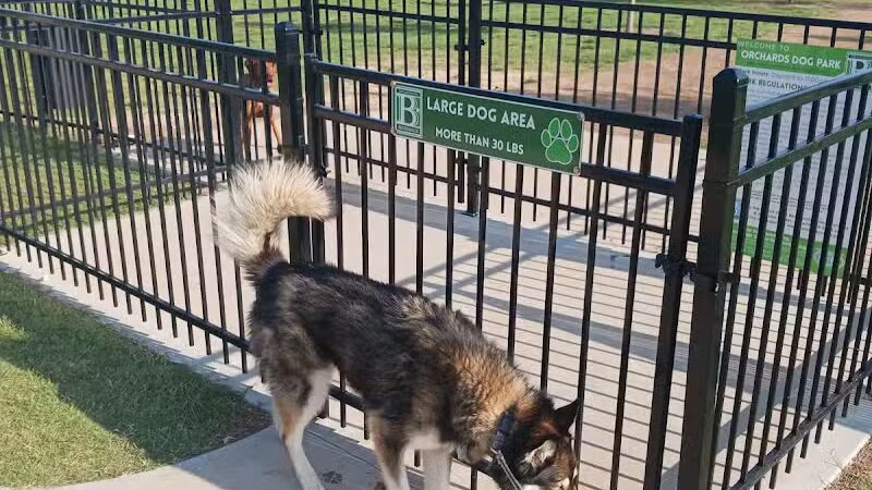 Bentonville Dog Park - Bentonville, AR