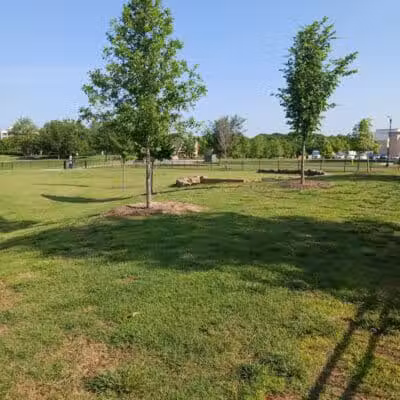 Bentonville Dog Park - Bentonville, AR