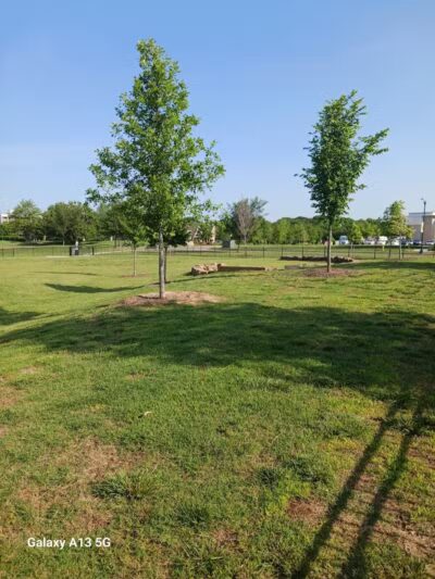 Bentonville Dog Park - Bentonville, AR
