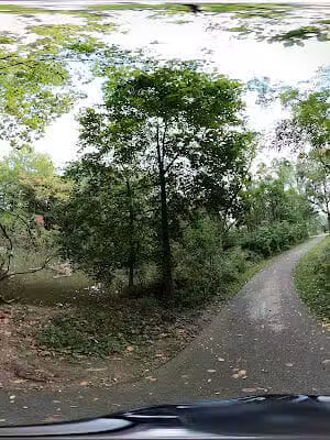 Picnic area for Lake Pipe Organ - Berea, OH