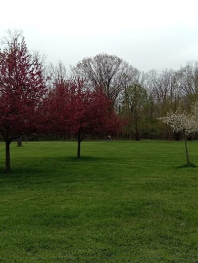 W. J. Green Picnic Area - Berea, OH