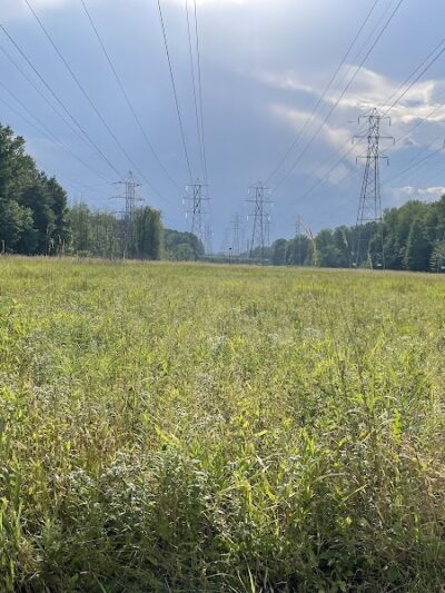 W. J. Green Picnic Area - Berea, OH