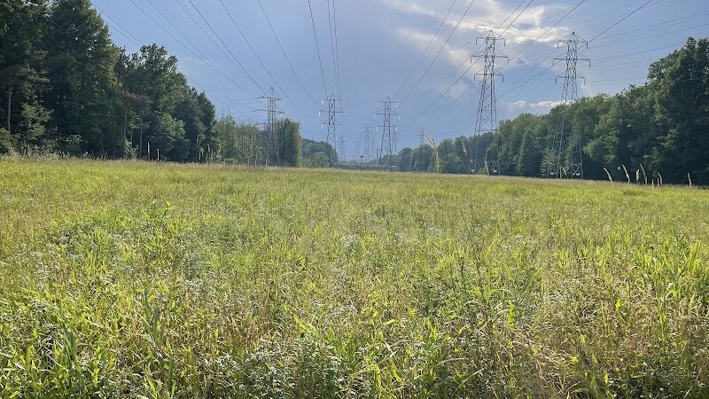 W. J. Green Picnic Area - Berea, OH