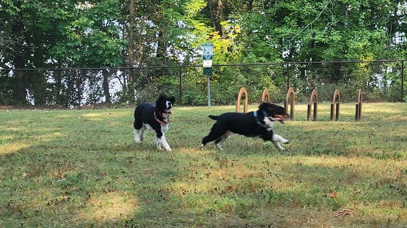 Berlin Lake Dog Park - Berlin Center, OH