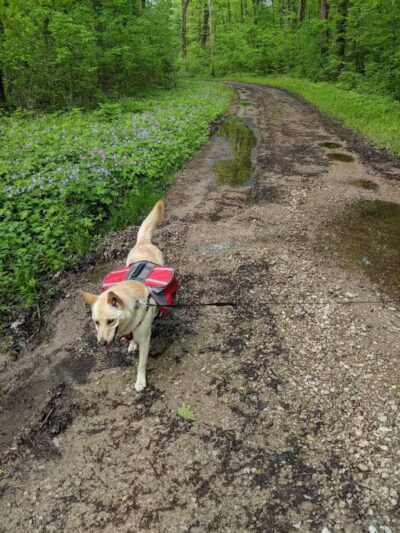 Edison woods lot - Berlin Heights, OH