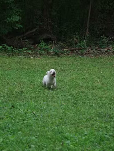 Edison woods lot - Berlin Heights, OH