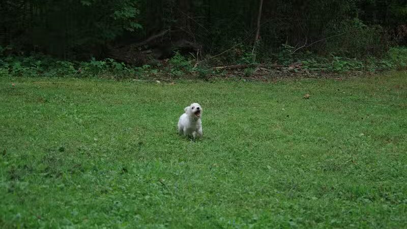 Edison woods lot - Berlin Heights, OH