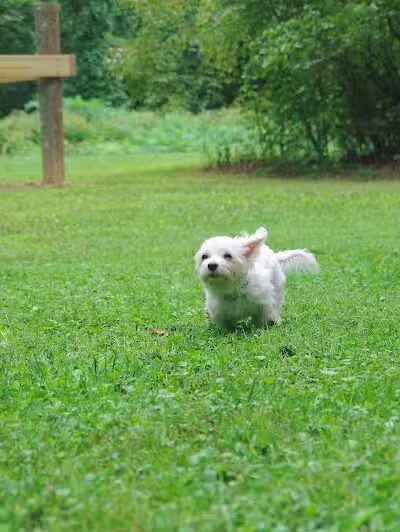 Edison woods lot - Berlin Heights, OH