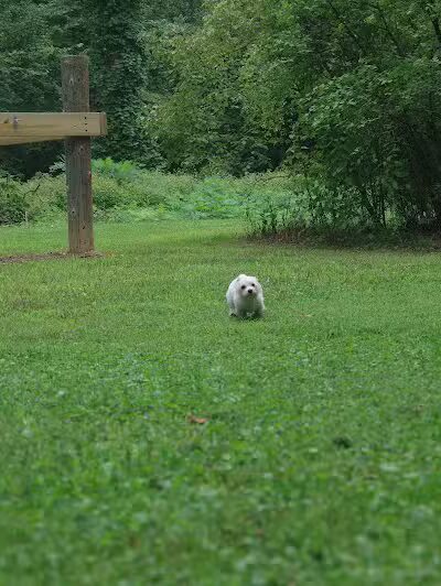 Edison woods lot - Berlin Heights, OH