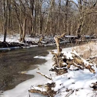 Hoffman Forest MetroPark - Berlin Heights, OH