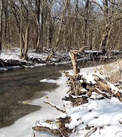 Hoffman Forest MetroPark - Berlin Heights, OH