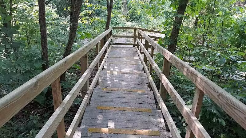 Hoffman Forest MetroPark - Berlin Heights, OH