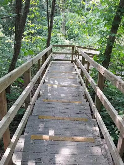 Hoffman Forest MetroPark - Berlin Heights, OH