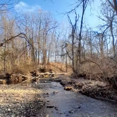 Hoffman Forest MetroPark - Berlin Heights, OH