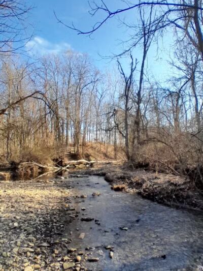 Hoffman Forest MetroPark - Berlin Heights, OH