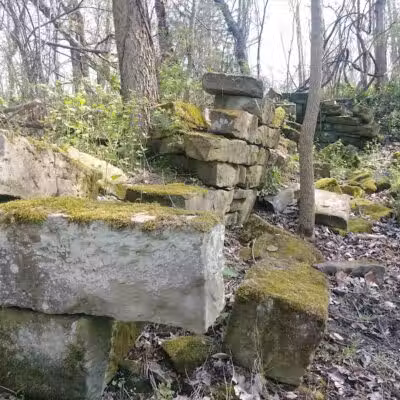 Hoffman Forest MetroPark - Berlin Heights, OH