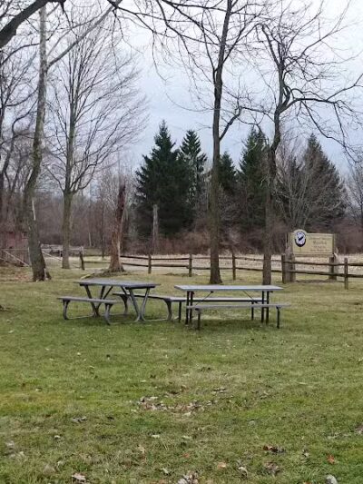 Hoffman Forest MetroPark - Berlin Heights, OH