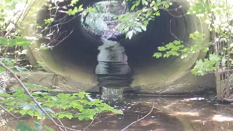 Hoffman Forest MetroPark - Berlin Heights, OH