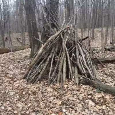 Hoffman Forest MetroPark - Berlin Heights, OH