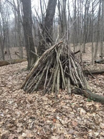 Hoffman Forest MetroPark - Berlin Heights, OH