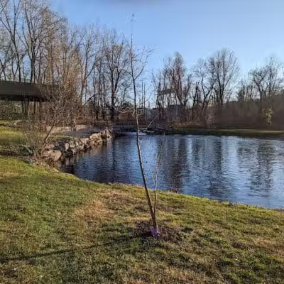 Meckauer Park - Bethel, CT