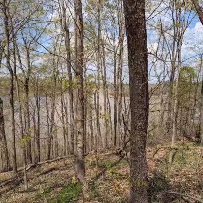 East Fork South Trailhead - Bethel, OH