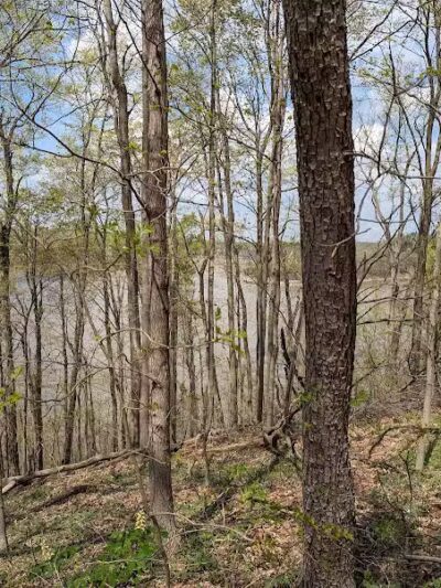 East Fork South Trailhead - Bethel, OH