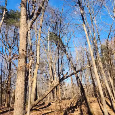 East Fork State Park - Bethel, OH