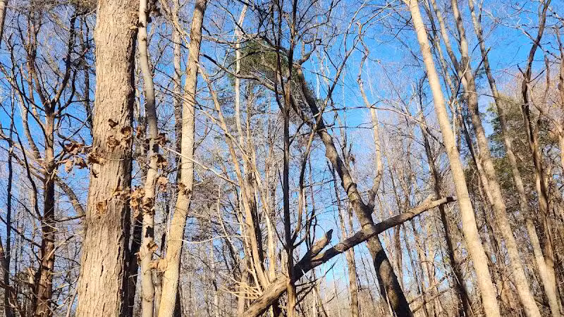 East Fork State Park - Bethel, OH