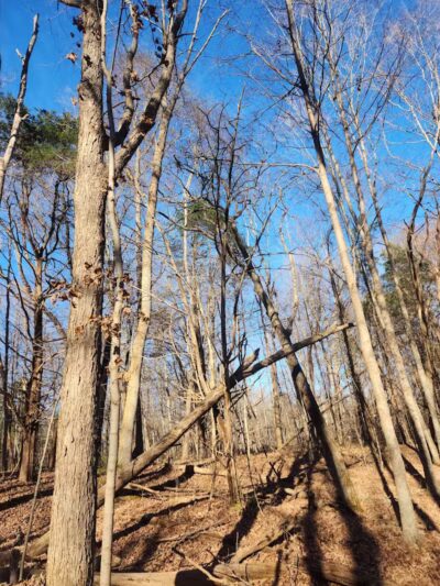 East Fork State Park - Bethel, OH