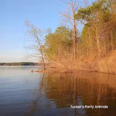 East Fork State Park - Bethel, OH