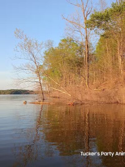 East Fork State Park - Bethel, OH