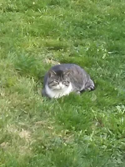 Dodge Park - Beverly, OH