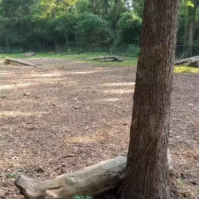 Schneider Dog Park - Bexley, OH