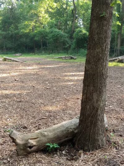 Schneider Dog Park - Bexley, OH