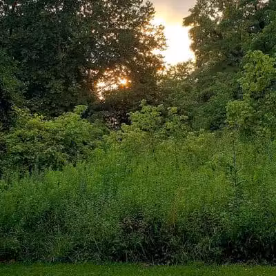 Blacklick Ridge Community Park - Blacklick, OH