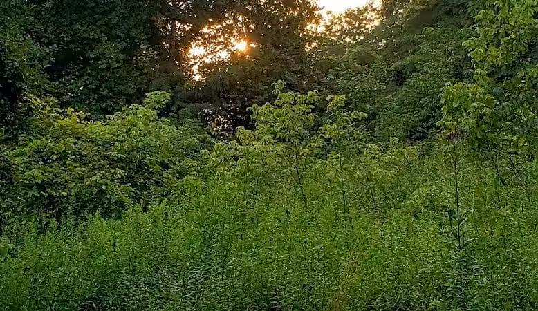 Blacklick Ridge Community Park - Blacklick, OH