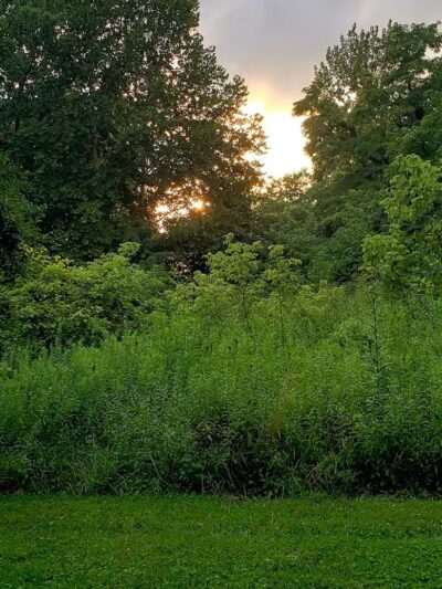 Blacklick Ridge Community Park - Blacklick, OH