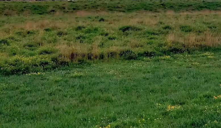 Blacklick Ridge Community Park - Blacklick, OH