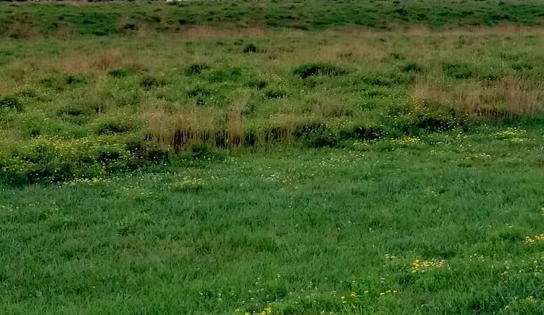 Blacklick Ridge Community Park - Blacklick, OH