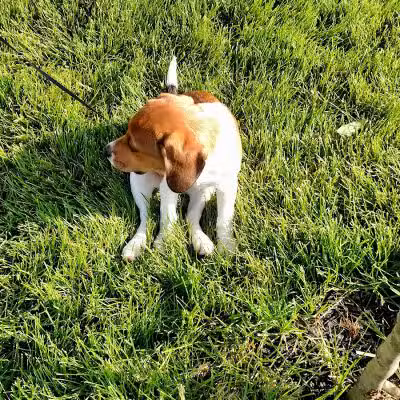 Crawford Farms Park - Blacklick, OH