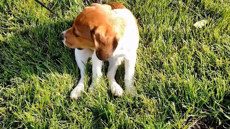 Crawford Farms Park - Blacklick, OH