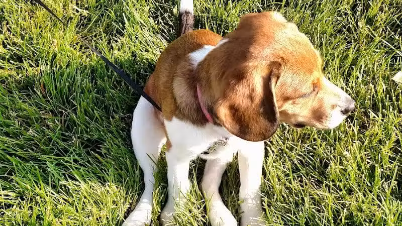 Crawford Farms Park - Blacklick, OH